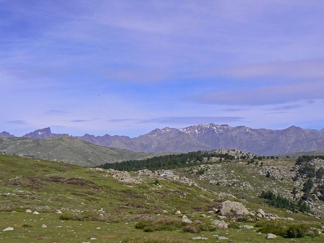 Corse- Région Cortenais- Restonica-Plateau d'Also- Vallée Tavignano-Corte [mai 2007]