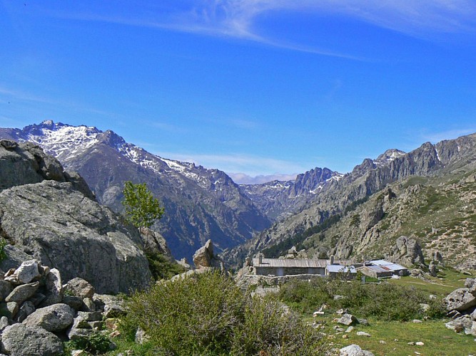 Corse- Région Cortenais- Restonica-Plateau d'Also- Vallée Tavignano-Corte [mai 2007]