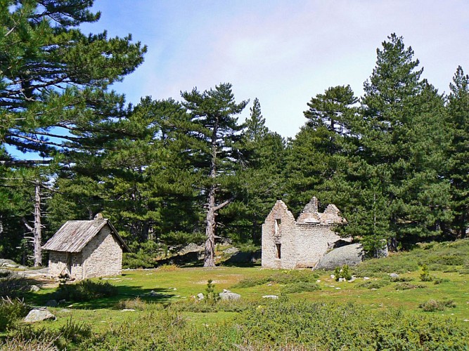 Corse- Région Cortenais- Restonica-Plateau d'Also- Vallée Tavignano-Corte [mai 2007]