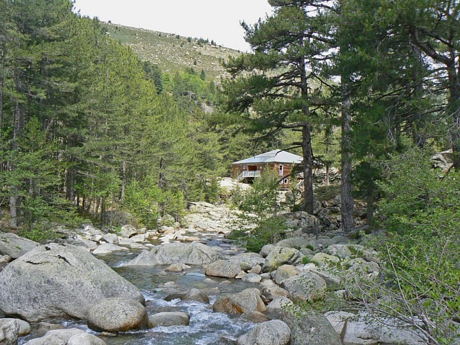 Corse- Région Cortenais- Restonica-Plateau d'Also- Vallée Tavignano-Corte [mai 2007]