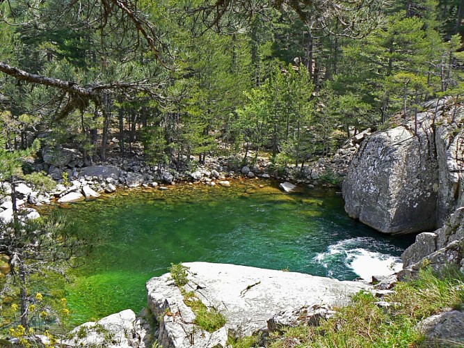 Corse- Région Cortenais- Restonica-Plateau d'Also- Vallée Tavignano-Corte [mai 2007]
