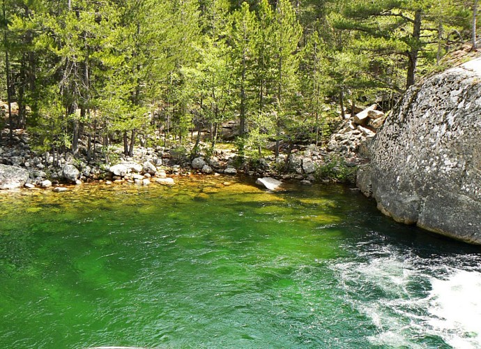 Corse- Région Cortenais- Restonica-Plateau d'Also- Vallée Tavignano-Corte [mai 2007]