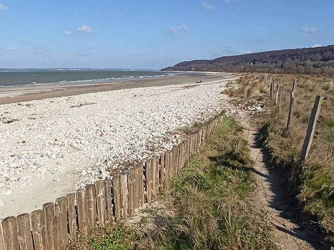 Plage de cricqueboeuf