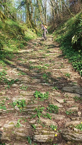 Ancienne voie dans le vallon entre Salavre et Poisoux