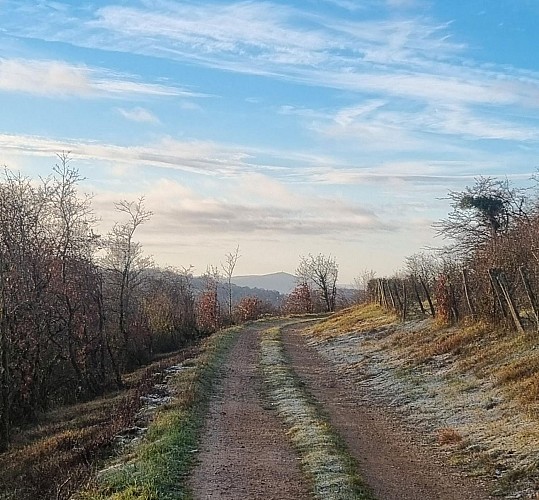 Plateau de Vergongeat