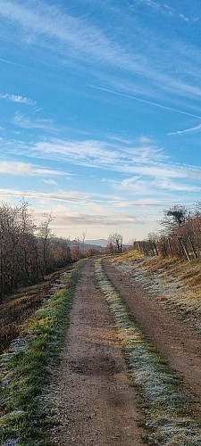 Plateau de Vergongeat