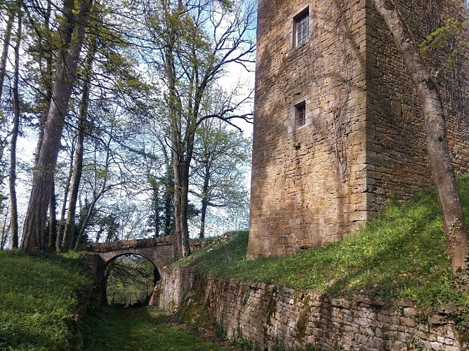 Chateau de Coligny