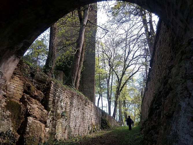 Chateau de Coligny