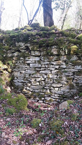 Murgets du Revermont