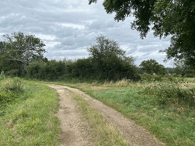 Nevoy : Circuit du Marais