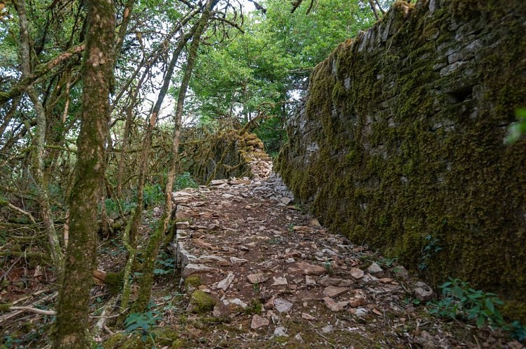 ENS_AZÉ_Dpt_S&amp;L_18-06-2022_F.Pannuti-24