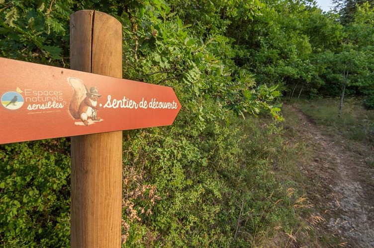 ENS_AZÉ_Dpt_S&amp;L_18-06-2022_F.Pannuti-33