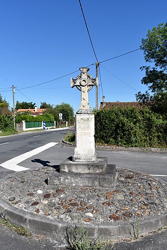 Entre vignes et marais1