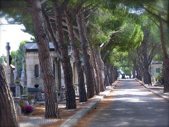 Allée cimetière Saint-Pierre