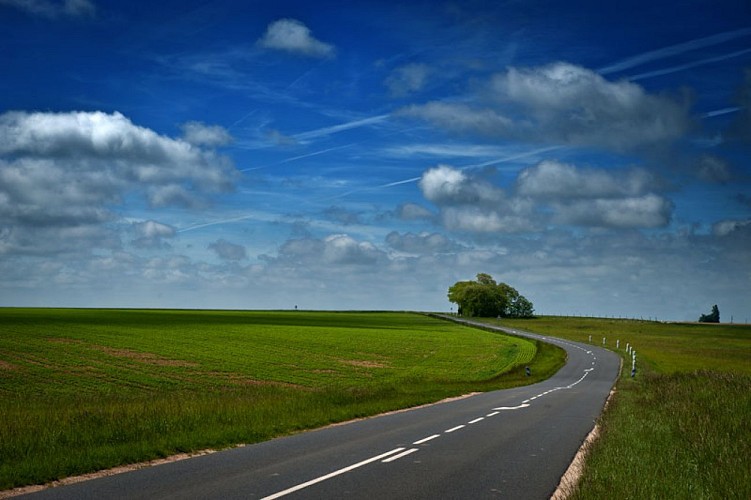 Paysage-de-Beauce