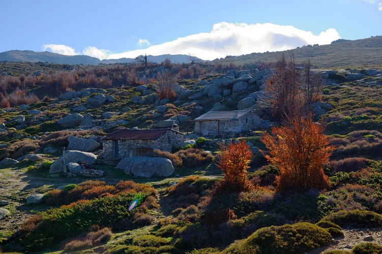 Corse- Région Incudine/Cuscionu- Berg. Cavallara et Chiralbella [Novembre 2015]
