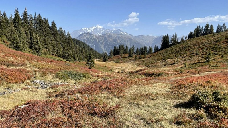 Vue sur montagne d'outray et Mont blanc