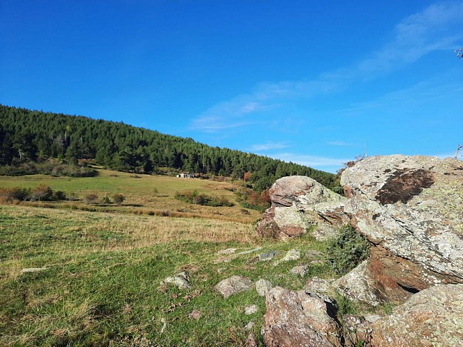 PR88 - Jaça de Palau