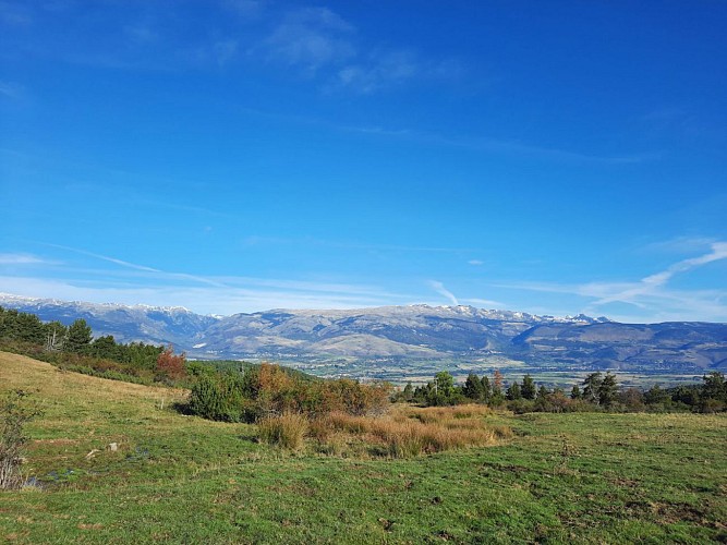 PR88 - Jaça de Palau