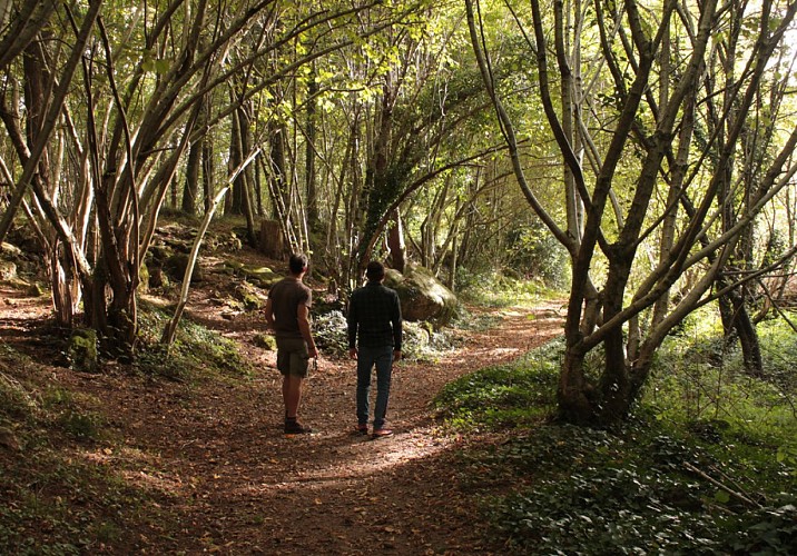chemin des roudets