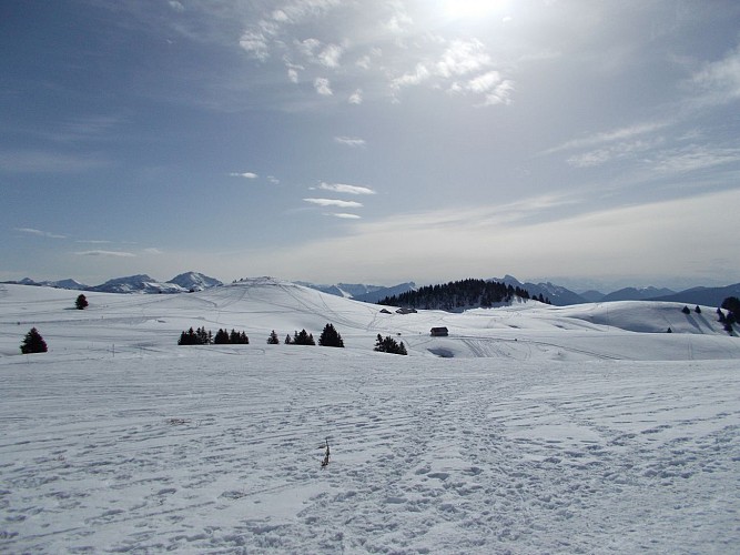 Randonnée Raquettes Semnoz Hte Savoie