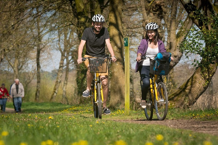 Balade à vélo électrique Broceliande