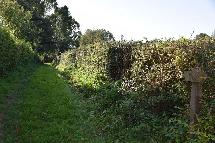 Le Tour des Haies à Coupelle-Neuve - randonnée pédestre en Haut-Pays d'Opale