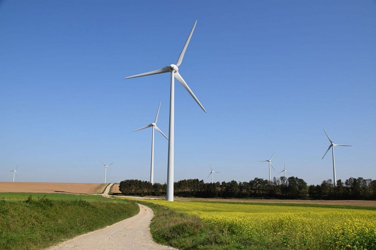 Le Tour des Haies à Coupelle-Neuve - randonnée pédestre en Haut-Pays d'Opale