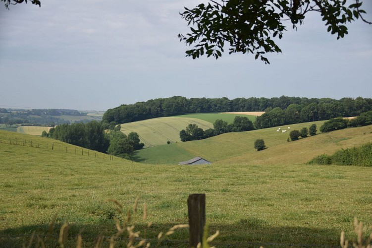Le Bois Noël à Hucqueliers - randonnée pédestre en Haut-Pays d'Opale