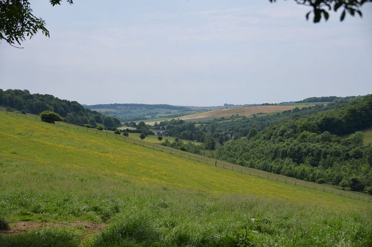 Les Sept Voies à Zoteux - randonnée pédestre en Haut-Pays d'Opale