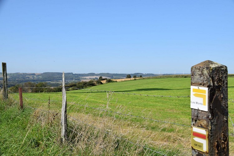 Les Monts à Matringhem - Randonnée pédestre en Haut-Pays d'Opale
