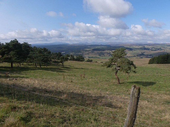 les Monts du Cantal