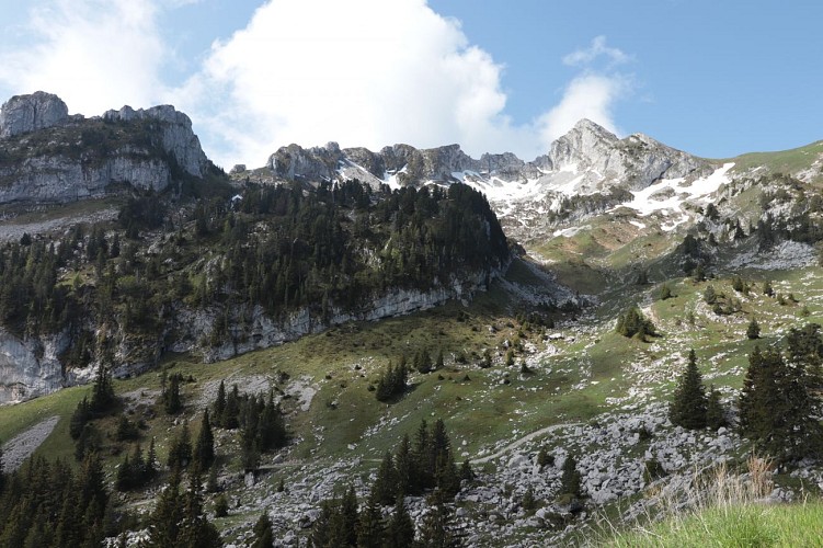 Hike: The Little Sambuy