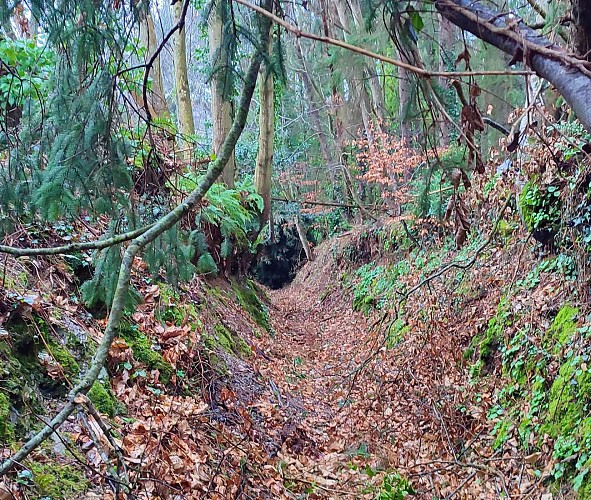 Un chemin creux un peu oublié