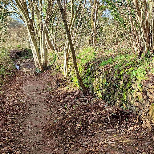 Talus mur dans un chemin