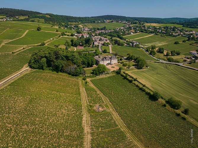 prisse-chateau-montceau-solitude-lamartine-al-drone-prisse-48