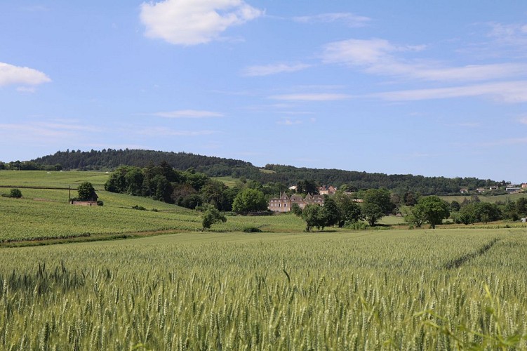 prisse-chateau-montceau-patrimoine-amandine-rostaing-macon-sud-bourgogne-0126
