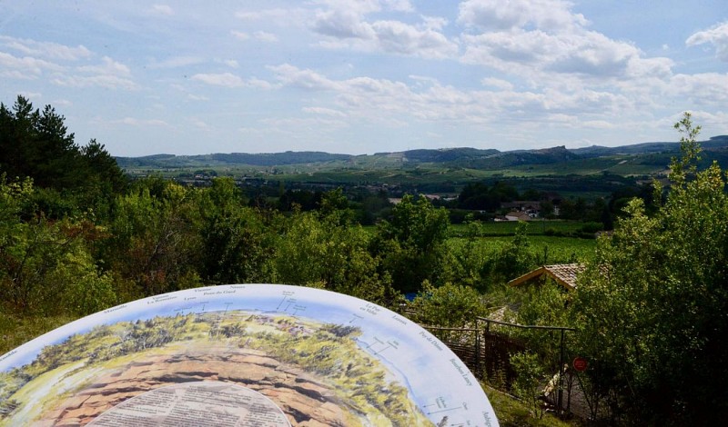 la-roche-vineuse-carrieres-lie-delphine-cresson-macon-sud-bourgogne-11 (1)