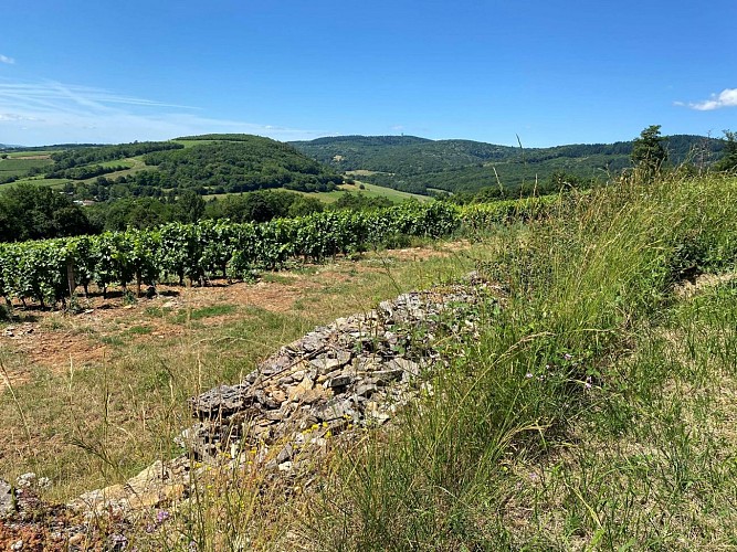 aze-sentier-randonnée-amandine-rostaing-macon-sud-bourgogne-2899
