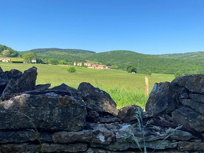 azé-sentier-randonnée-amandin-rostaing-macon-sud-bourgogn