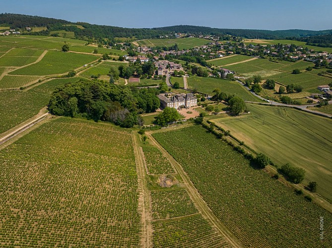 prisse-chateau-montceau-solitude-lamartine-al-drone-48-prisse