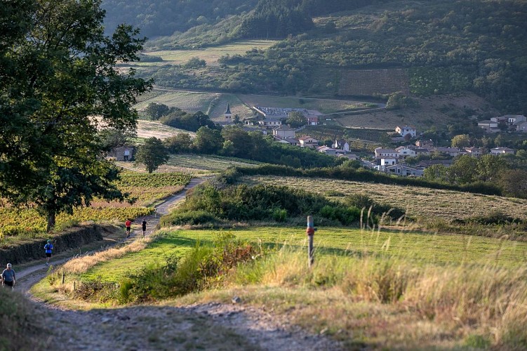 pruzilly-paysage-randonnee-etienne-ramousse-images-macon-sud-bourgogne-028