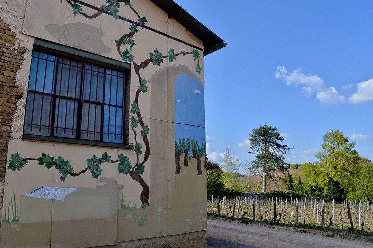 chanes-artderue-patrimoine-delphine-cresson-macon-sud-bourgogne-8