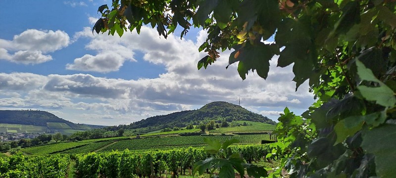 milly-lamartine-monsard-paysage-dsl71-veronique-givord-.004797