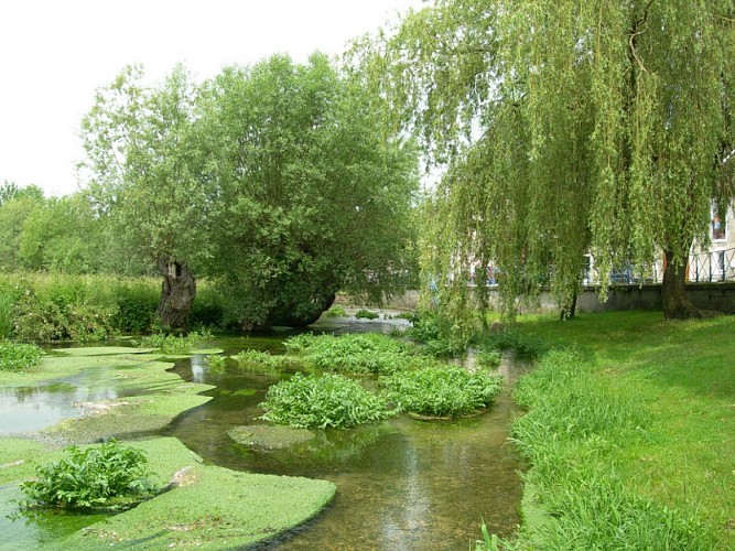 Circuit famille - un détour dans la Plaine