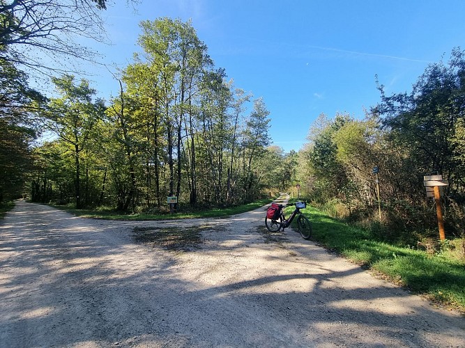 Circuit VTC-Gravel n°4 (rouge) - La Voie Royale