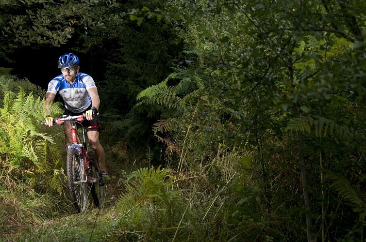 Circuit VTC-Gravel n°5 (rouge) - De la Bresse des lacs à l'étang Pontremble