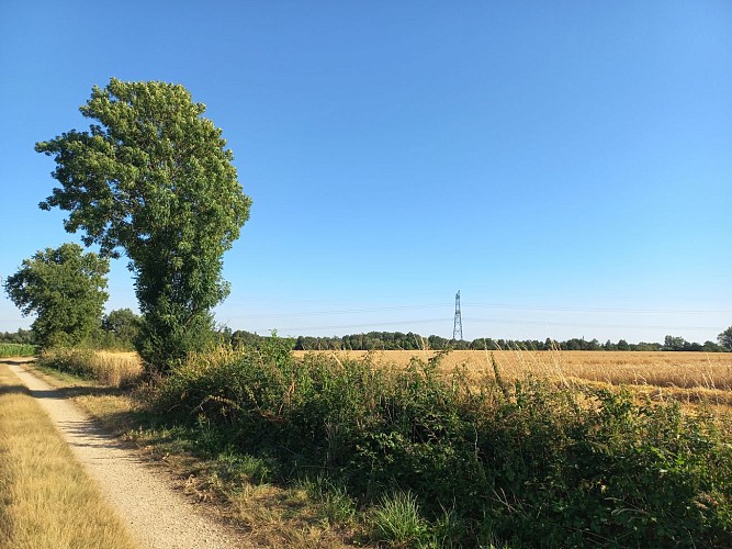 Le circuit de la Fleur de lin