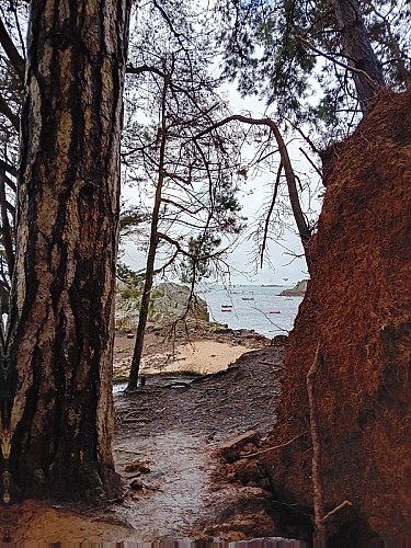 LOGUIVY de la MER