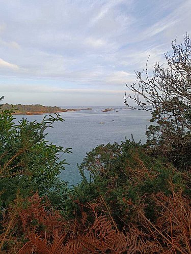 LOGUIVY - La Roche aux Oiseaux